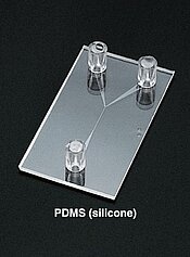 PDMS Chips