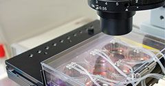 PCME-System unter dem Mikroskop